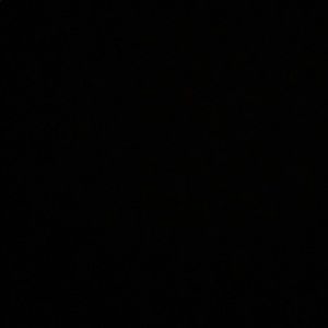 Meet your Posher, Shaneka